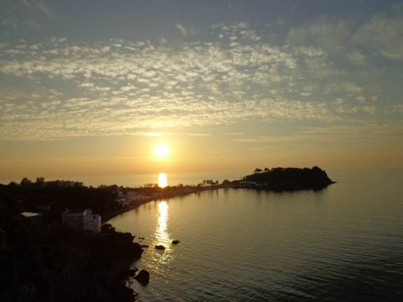 1654243_10152204996066063_902649036_n