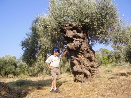 64401_10151581591136063_440084885_n