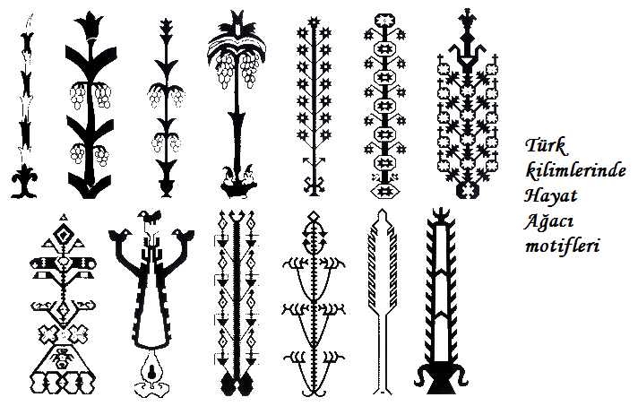 hayatağacıtürk (1)